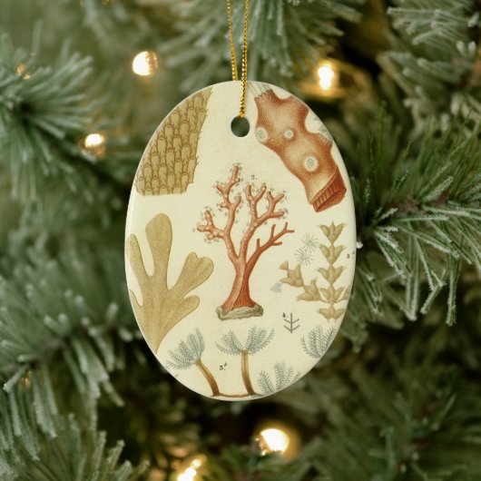 Wetenschap leerboek Biologie,  koraaldieren Keramisch Ornament (Boom)