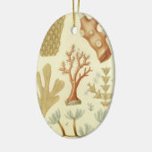 Wetenschap leerboek Biologie,  koraaldieren Keramisch Ornament (Links)