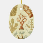 Wetenschap leerboek Biologie,  koraaldieren Keramisch Ornament (Voorkant)