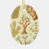 Wetenschap leerboek Biologie,  koraaldieren Keramisch Ornament (Achterkant)