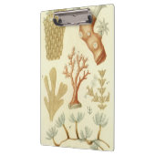 Wetenschap leerboek Biologie,  koraaldieren Klembord (Links)