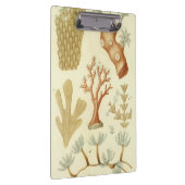 Wetenschap leerboek Biologie,  koraaldieren Klembord (Rechts)