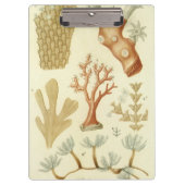 Wetenschap leerboek Biologie,  koraaldieren Klembord (Voorkant)