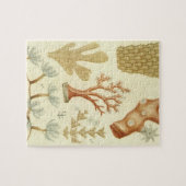 Wetenschap leerboek Biologie, koraaldieren Legpuzzel (Horizontaal)