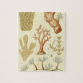 Wetenschap leerboek Biologie,  koraaldieren Legpuzzel (Verticaal)