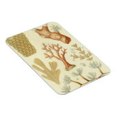 Wetenschap leerboek Biologie,  koraaldieren Magneet (Rechterzijde)