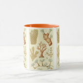 Wetenschap leerboek Biologie, koraaldieren Mok (Midden)