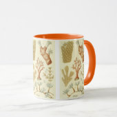 Wetenschap leerboek Biologie,  koraaldieren Mok (Voorkant rechts)