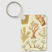 Wetenschap leerboek Biologie,  koraaldieren Sleutelhanger (Voorkant)