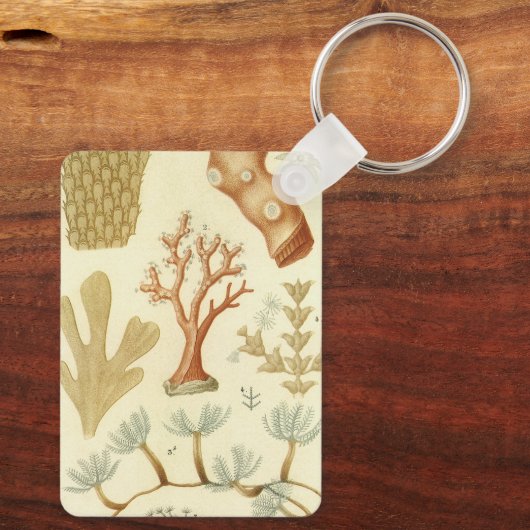 Wetenschap leerboek Biologie,  koraaldieren Sleutelhanger (Achterkant)