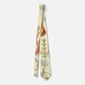 Wetenschap leerboek Biologie, koraaldieren Stropdas (Achterkant)