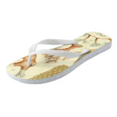 Wetenschap leerboek Biologie, koraaldieren Teenslippers (Schuin)