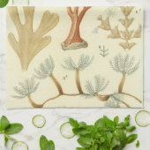 Wetenschap leerboek Biologie, koraaldieren Theedoek (Gevouwen)