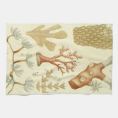 Wetenschap leerboek Biologie, koraaldieren Theedoek (Horizontaal)