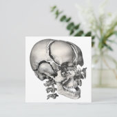 Wetenschap Menselijke Anatomie, Antiek schedel (Staand voorkant)