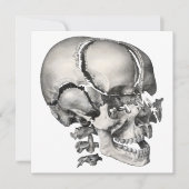  Wetenschap Menselijke Anatomie, Antiek schedel (Voorkant)