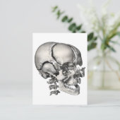 Wetenschap Menselijke Anatomie, Antiek schedel Briefkaart (Staand voorkant)
