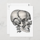 Wetenschap Menselijke Anatomie, Antiek schedel Briefkaart (Voorkant / Achterkant)