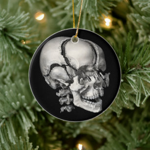 Wetenschap Menselijke Anatomie, Antiek schedel Keramisch Ornament