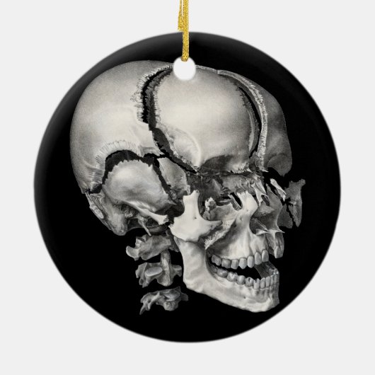  Wetenschap Menselijke Anatomie, Antiek schedel Keramisch Ornament (Achterkant)