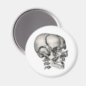 Wetenschap Menselijke Anatomie, Antiek schedel Magneet (Voorkant / Achterkant)