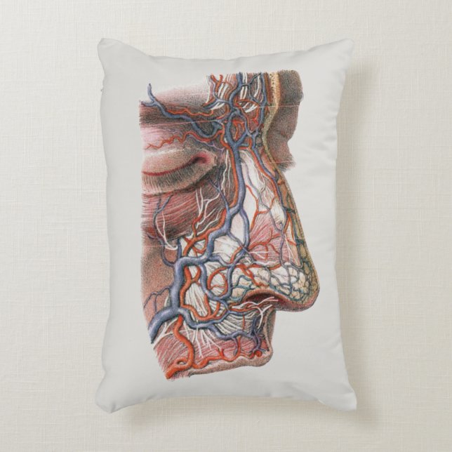  wetenschap menselijke anatomie, gezicht met neus accent kussen (Voorkant(Verticaal))