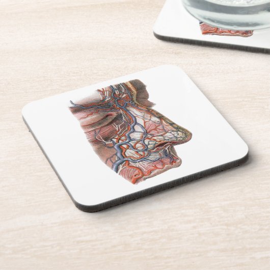  wetenschap menselijke anatomie, gezicht met neus bier onderzetter (Linkerzijde)