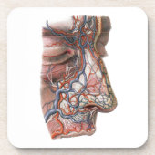 wetenschap menselijke anatomie, gezicht met neus bier onderzetter (Voorkant)
