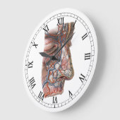 wetenschap menselijke anatomie, gezicht met neus grote klok (Hoek)