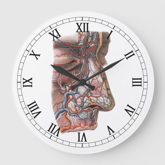 wetenschap menselijke anatomie, gezicht met neus grote klok (Voorkant)