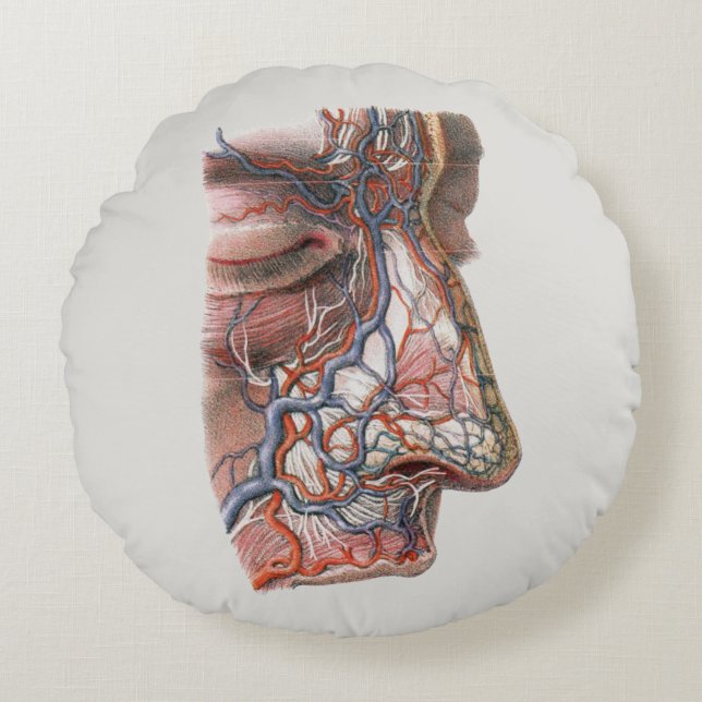  wetenschap menselijke anatomie, gezicht met neus rond kussen (Voorkant)