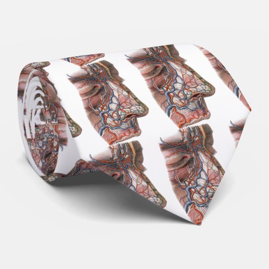 wetenschap menselijke anatomie, gezicht met neus stropdas (Opgerold)