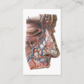 wetenschap menselijke anatomie, gezicht met neus visitekaartje (Achterkant)