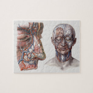  Wetenschap Menselijke Anatomiehoofden en gezichte Legpuzzel