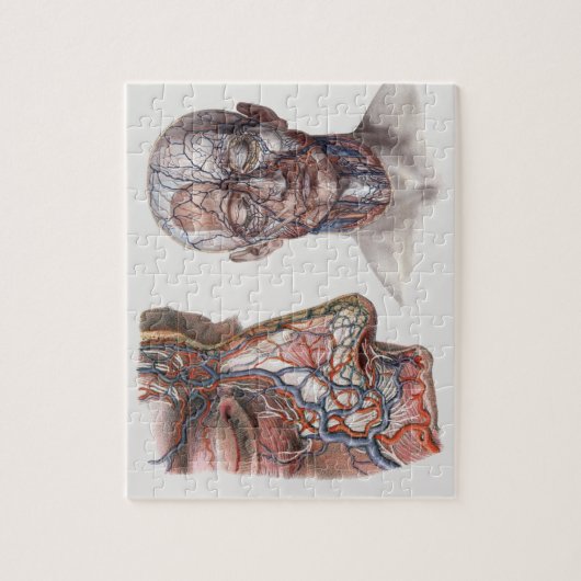 Wetenschap Menselijke Anatomiehoofden en gezichte Legpuzzel (Verticaal)