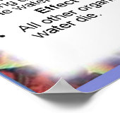 Wetenschap, Milieuchemie, Eutrofiëring Poster (Hoek)