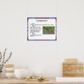 Wetenschap, Milieuchemie, Eutrofiëring Poster (Keuken)