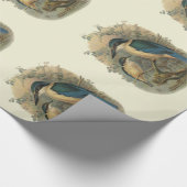  wetenschap NZ Birds - Kingfish Cadeaupapier (Hoek)
