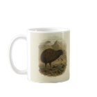  Wetenschap NZ Birds - Kiwi