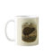  Wetenschap NZ Birds - Kiwi