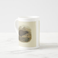  Wetenschap NZ Birds - Kiwi