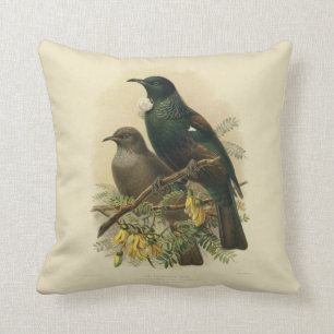  wetenschap NZ Birds - Tui Kussen