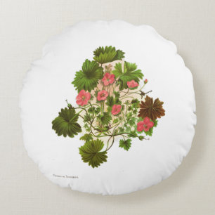  Wetenschap NZ Bloemen - Geranium traversii Rond Kussen