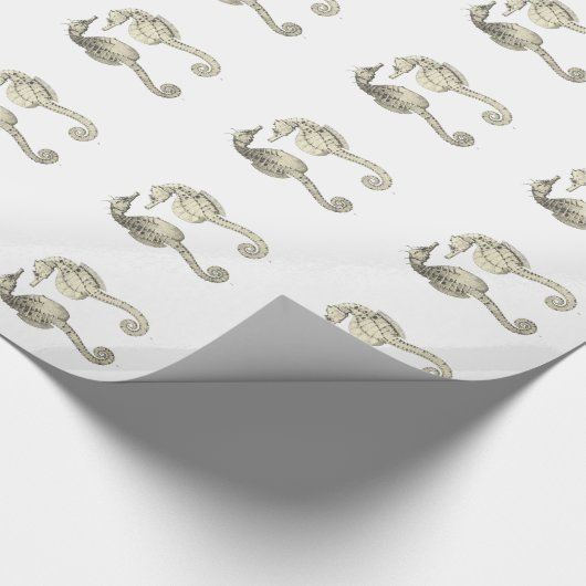  wetenschap NZ Fish - Big Belly Zee Horses Cadeaupapier (Hoek)