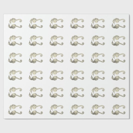  wetenschap NZ Fish - Big Belly Zee Horses Cadeaupapier (Vlak)