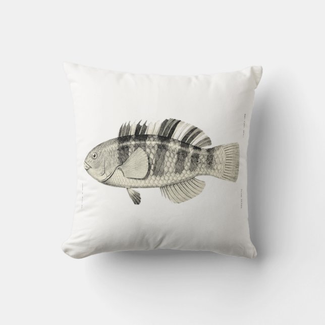  wetenschap NZ Fish - Buurpapegaai Kussen (Voorkant)