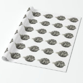  wetenschap NZ Fish - Lemon Sole Cadeaupapier (Uitgerold)