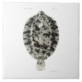 wetenschap NZ Fish - Lemon Sole Tegeltje (Voorkant)