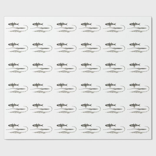  wetenschap NZ Fish - Pipet en lantaarnvis Cadeaupapier (Vlak)