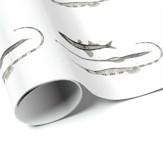  wetenschap NZ Fish - Pipet en lantaarnvis Cadeaupapier (Rol Hoek)